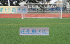 申花教練安排劉誠宇罰點，第10次未進，無法避免。