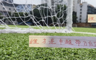 蔣圣龍VS提莫，誰為中超最佳帶刀中衛(wèi)