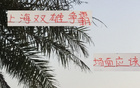 滬申花海港爭(zhēng)霸，雙雄對(duì)攻精彩，馬寧助陣。