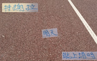 申花喜訊：朱辰杰現(xiàn)身訓練，特謝拉缺席德比。