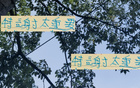 吳曦、楊皓宇無法替代特謝拉10號位，浙江比賽失利。
