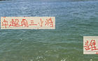中超前三，誰主沉??？申花劉、國安范、海港蒯爭霸