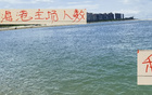 周末海港主場2萬觀眾，申花引領下青島主場多1萬。