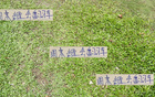 周末中超焦點：成都海港、山東國安，前四誰將失利？
