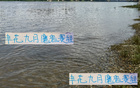 申花九月抉擇：聯(lián)賽亞冠難兩全，需擇一而攻。
