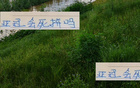 成都亞冠無目標(biāo)，申花壓力來襲，沖刺階段決勝負(fù)。