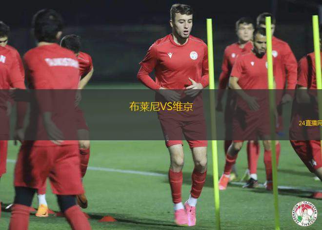布萊尼VS維京