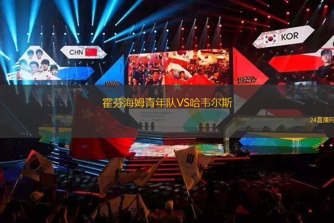 霍芬海姆青年隊(duì)VS哈韋爾斯
