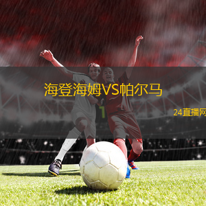 海登海姆VS帕爾馬