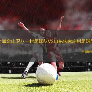 上海金山衛(wèi)八一村足球隊VS山東朱家莊村足球隊