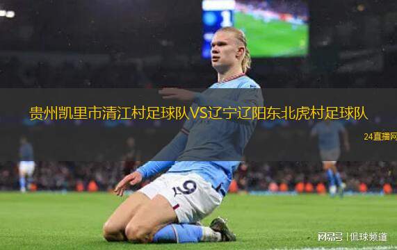 貴州凱里市清江村足球隊VS遼寧遼陽東北虎村足球隊