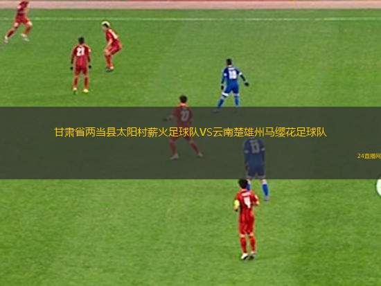 甘肅省兩當(dāng)縣太陽村薪火足球隊VS云南楚雄州馬纓花足球隊