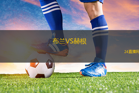 布蘭VS赫根