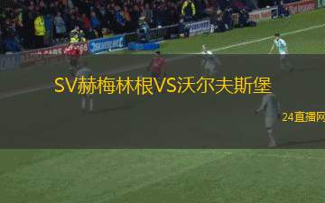 SV赫梅林根VS沃爾夫斯堡