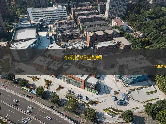 布萊頓VS富勒姆