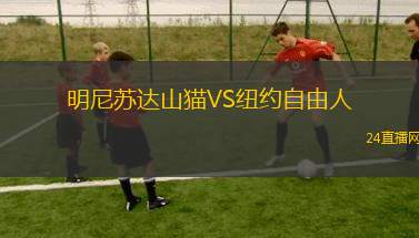 明尼蘇達山貓VS紐約自由人