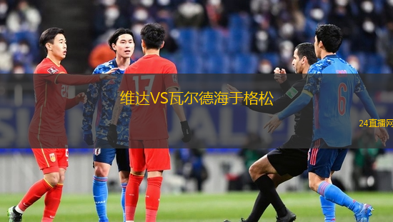 維達VS瓦爾德海于格松