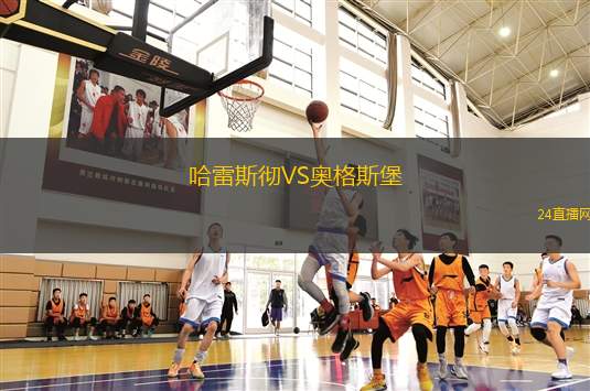 哈雷斯徹VS奧格斯堡