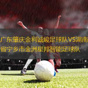 廣東肇慶金利誠(chéng)峻足球隊(duì)VS湖南省寧鄉(xiāng)市金洲星邦智能足球隊(duì)