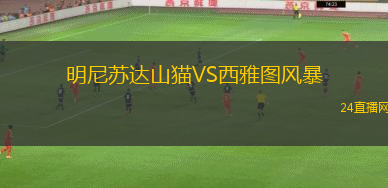 明尼蘇達(dá)山貓VS西雅圖風(fēng)暴