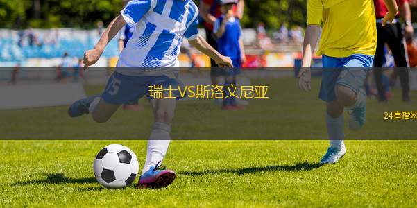 瑞士VS斯洛文尼亞
