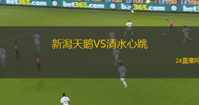 新潟天鵝VS清水心跳