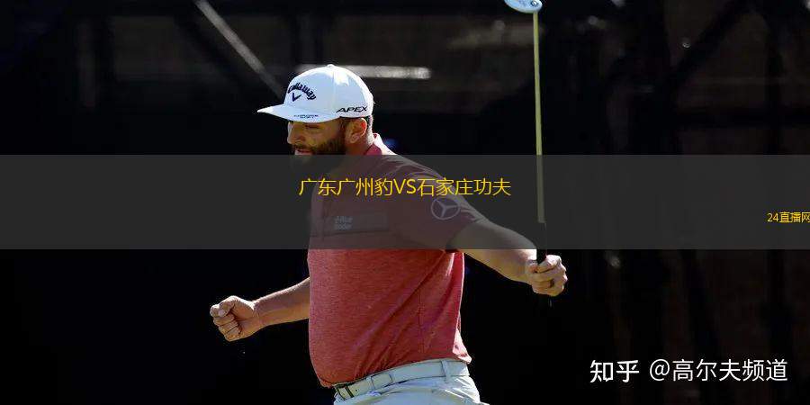 廣東廣州豹VS石家莊功夫