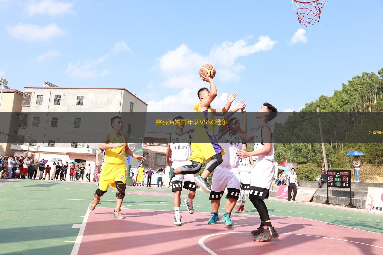 霍芬海姆青年隊VSSC維爾