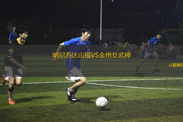 明尼蘇達(dá)山貓VS金州女武神