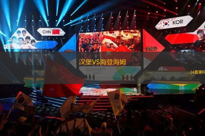 漢堡VS海登海姆