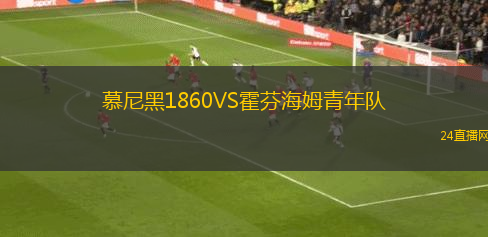 慕尼黑1860VS霍芬海姆青年隊