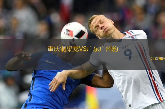 重慶銅梁龍VS廣東廣州豹
